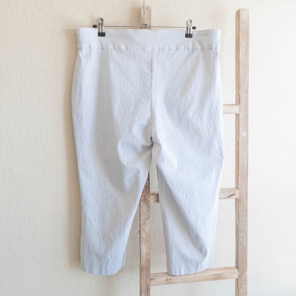 Dana Buchman Pants Sz XL Gray Straight Leg Cropped Embroidered Neutral - Picture 4 of 6